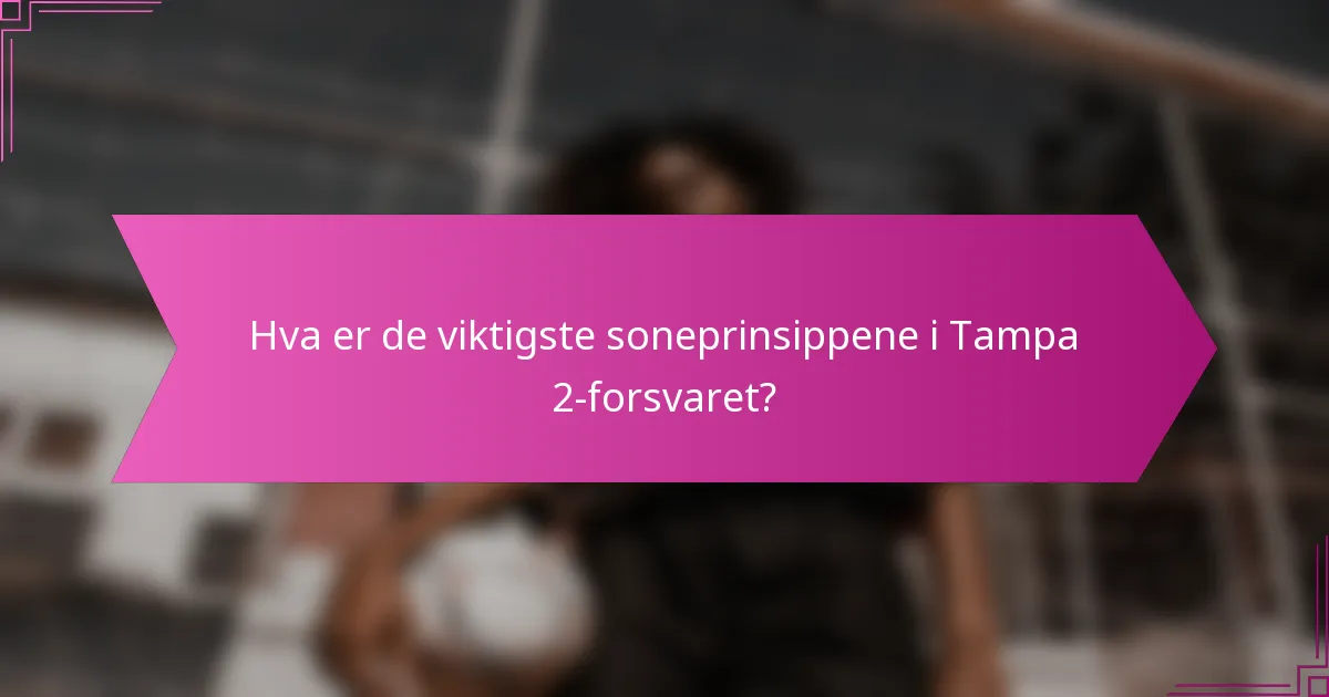 Hva er de viktigste soneprinsippene i Tampa 2-forsvaret?