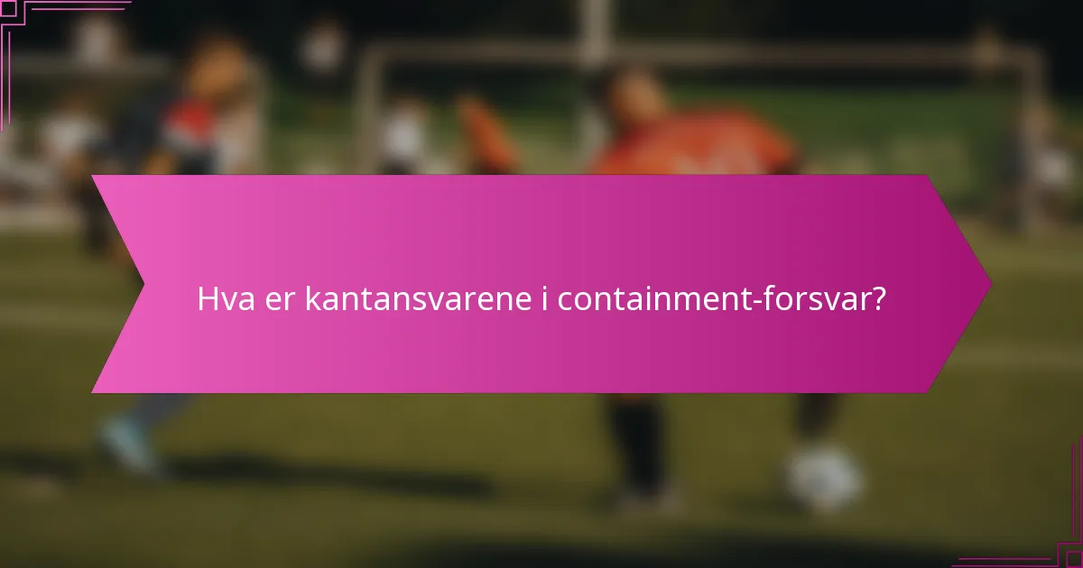 Hva er kantansvarene i containment-forsvar?